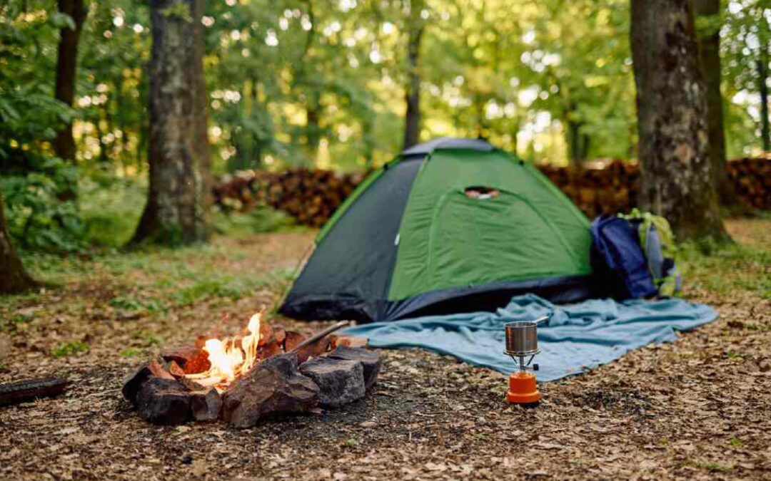 The Importance of Bushcraft Skills for Off-Grid Living in the UK