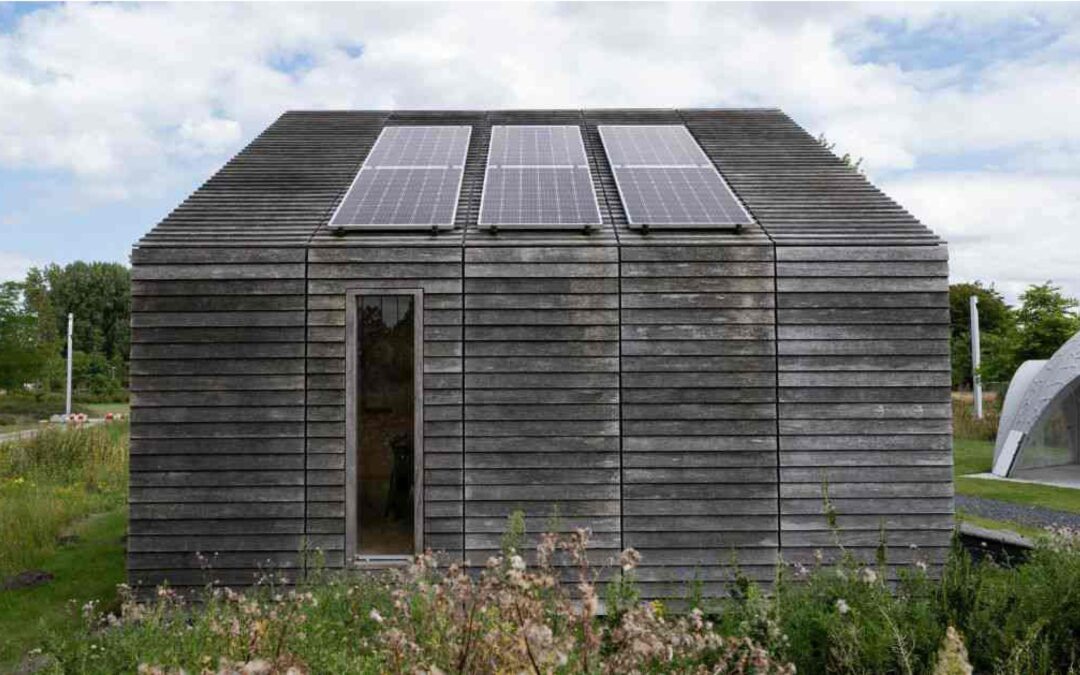 Living Off-Grid: A Journey to Self-Sufficiency