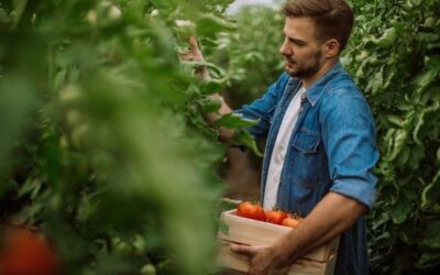 Growing Your Own Food: A Simple Path to Sustainable Living