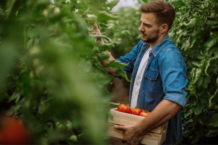 Grow Your Own Food